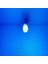 ( 2 x Adet ) 1 Takım Professıonal T10 LED Ice Blue T10 LED Dipsiz Ampul 12 Smd Chıp Seri Buz Mavi 3