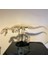 Jurassic Dönemi T-Rex Iskelet Maketi – Eğitim Amaçlı Dekoratif Model 2