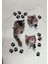 Kadın Kısa Kollu Kedi ve Pati Baskılı Süprem T-Shirt 4