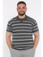 Polo Yaka Çizgili Erkek Tişört P-00017653 2