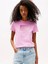 Tjw Reg Gradıent Flag Ss Kadın Pembe T-Shirt DW0DW20905U06 3