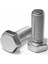 Netpen Galvanizli 8,8 Kalite M8X60 mm Civata 30 Adet 1