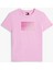 Tjw Reg Gradıent Flag Ss Kadın Pembe T-Shirt DW0DW20905U06 5