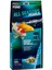 Pro Pond All Seasons Pearls 32LT 5,8kg 1