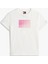 Tjw Reg Gradıent Flag Ss Kadın Beyaz T-Shirt DW0DW20905YBL 5