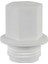 Pvc Boru Kör Tapa Pprc 32X1 10 Adet 1