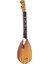 Bfs Nessiworld Asl-11 Saz Bağlama 2
