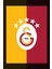 5 Yıldız Galatasaray Kanvas Tablo 2