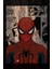 Spiderman Kanvas Tablo 2