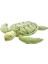 Polly Toys Şirin Peluş Kaplumbağa - 35 cm 1