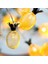 Dekoratif Pilli Pineapple Ananas Pilli Şerit LED Işık (1 Metre) (5047) 1