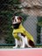 Extreme Wheater Coat I Olive Köpek Montu 4