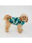 Fleece Series Muflon Köpek Montu - Monkey Fleece Turquoise 1