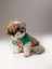 Bella Ethnic Bomber Jacket Köpek Ceket 1