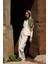 Yeşil Ed Scarf Glaze Botanic Desen Eşarp 4