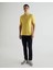 Polo Yaka Regular T-Shirt 3