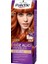 Pnc Palette Saç Boyası Göz Alıcı Renkler 7-77 Copper 2
