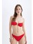 Regular Fit Bikini Altı-Fall in Love D2644AX24HS 1