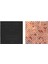 Iphone 88 Plusiphone x Ara Frekansı If Ic Entegre WTR5975-(5775) - MDE2513-8550 1