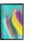 Ally Sm Galaxy Tab S5E 10.5 T720T725 Kırılmaz Cam Ekran KORUYUCU-(5775) - MBN1667-2065 2