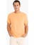 %100 Pamuk New Regular Fit Bisiklet Yaka Basic Düz Kısa Kollu Tişört V7699AZ25SP 3