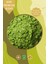 Mojito Matcha Powder 25 gr, Mojito Matcha Tozu Superfood 2