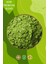 Kivi Aromalı Matcha Tozu 25 gr 2