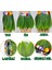 Tropikal Esintili Hawaii Yapraklı Parti Eteği Yetişkin Boy (5047) 4