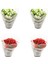 Kalanşo Emel Hanım Çiçeği Fidanı 4'lü Mix Set 10-20 cm 1