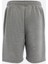 Authentic Gianni Short Erkek Gri Comfort Fit Şort 2