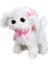 Sevimli Köpek Maltese 1