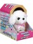 Sevimli Köpek Maltese 2