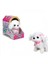 Sevimli Köpek Maltese 3