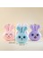 041-1 Pvc Anahtarlı Kilitli Gülenyüz Kumbara Lila 12,5X15,5CM 4