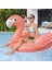 Hsyn Flamingo Şişme Bot 41526 Akdenizpos Yeni 3
