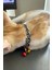 Özel Bernami Rapçi Kedi Tasması, Zincir ve Zilli Kedi Tasması - NPC012 Fırsat!!! 2