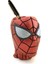Polyester Spiderman Kalemlik 1