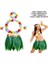 Özel Yetişkin Hawaii Kostüm Seti - Yaprak Etek &amp; Hawaii Set - 5 Parça Fırsat!!! 1
