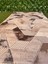 Konforsa Geometrik Desenli Modern Halı - Kahve Gri Tonları - Özel Ölçü Seçenekli 1