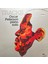 Tracks Oscar Peterson Piano Solo Japon Baskı Lp Plak 1