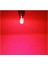 T10 LED Pınk T10 LED Dipsiz Ampul Profosyonel Copılot Seri Pembe 2