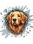 Fulcar Golden Araç Stickerı 2