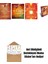Rhonda Byrne 4 Kitap Set + Okuma Sticker'ları 1