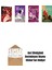 Marissa Meyer 4 Kitap Set + Okuma Sticker'ları 1