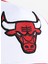 60667461 Nba Sıde Patch Trucker Chı Kırmızı Şapka 1