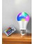 LED Ampul Enerji Dostu Rgb Işıklı 100W LED Işık 4