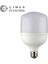 Noas YL95 3001 LED Torch Ampül 30W E27 6500K Beyaz Işık 1