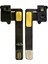 Ally Ipad Mini 2mini 3 On KAMERA-(5775) - TGZ1047-7481 1