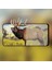 Oppo A9/a5 (2020) 3D Full Glue Tempered Cam Ekran KORUYUCU-(5775) - TGZ7449-9072 4