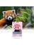Kızıl Panda Maske – Canlandırıcı Kağıt Yüz Maskesi (Çilek & Bambu Özlü) – Tekli (1 x 23g) 1